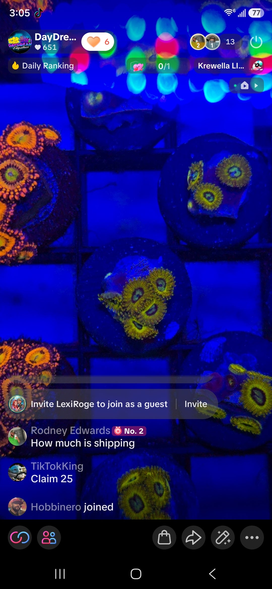 TikTok King