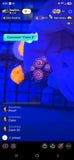 Smashleys Pack